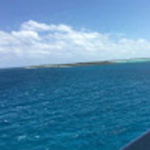 Meet your Posher, Aidan